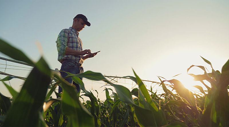 Man stood in field working on renewable energy solutions