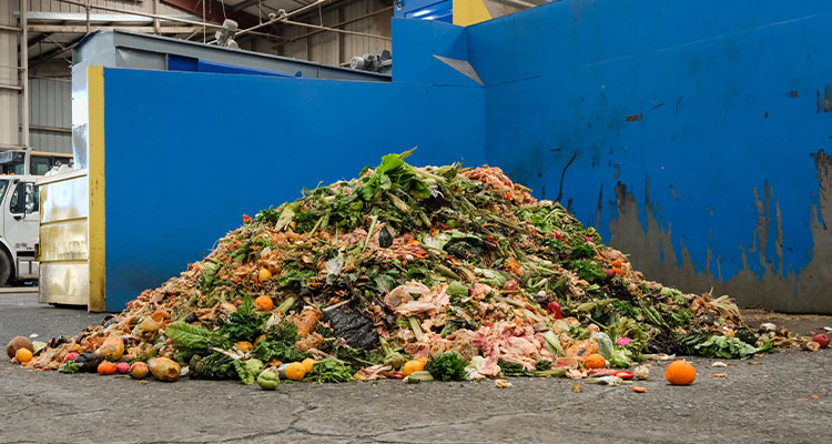 a large pile of organic food waste