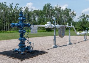 an oil or natural gas wellhead