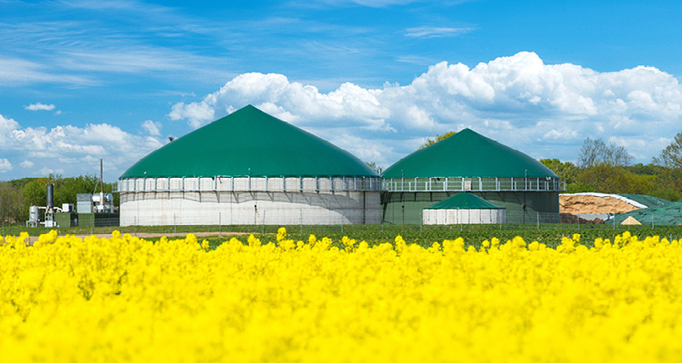 a biogas plant located in a rural landscape