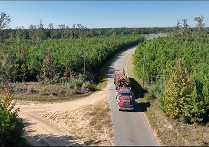 a logging truck hauling timber down a rural road.