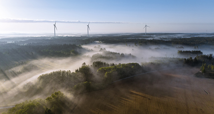 wind turbines rising above a foggy forest landscape in Finland