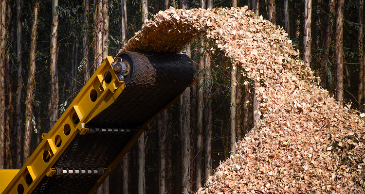 a yellow industrial wood chipper or horizontal grinder discharging a large stream of wood chips onto a growing pile in a forested area